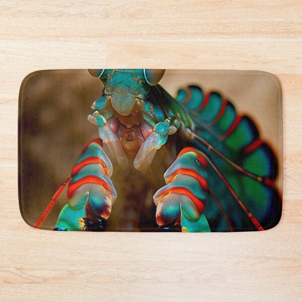 Aperçu de l'œuvre Peacock Mantis Shrimp créée et vendue par DigitizedArt.