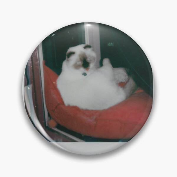 Item preview, Downtown Frederick Window Cat designed and sold by JS-Photo-Video.