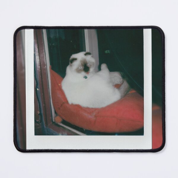 Item preview, Downtown Frederick Window Cat designed and sold by JS-Photo-Video.