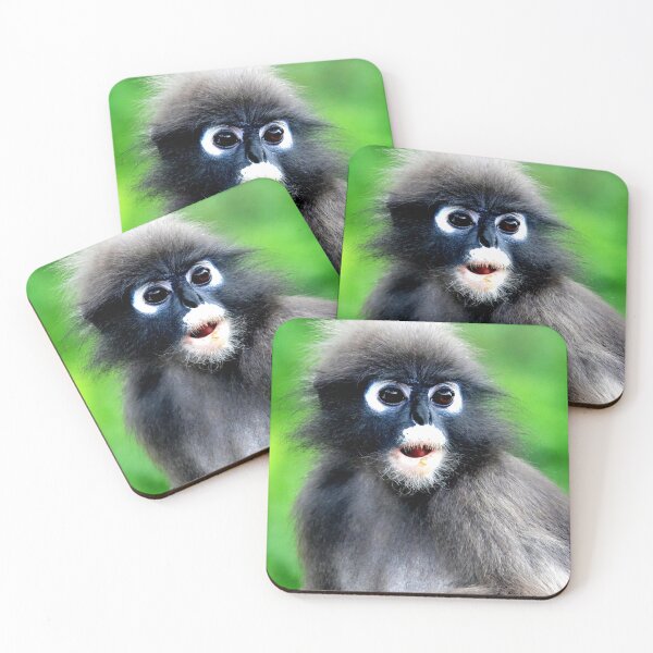 Item preview, Thailand - Prachuap Khiri Khan spectacled monkey designed and sold by franck380.