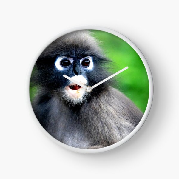 Item preview, Thailand - Prachuap Khiri Khan spectacled monkey designed and sold by franck380.
