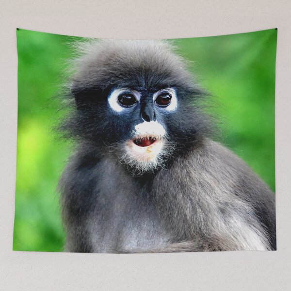 Item preview, Thailand - Prachuap Khiri Khan spectacled monkey designed and sold by franck380.