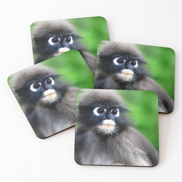Item preview, Thailand - Prachuap Khiri Khan spectacled monkey designed and sold by franck380.