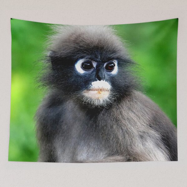 Item preview, Thailand - Prachuap Khiri Khan spectacled monkey designed and sold by franck380.