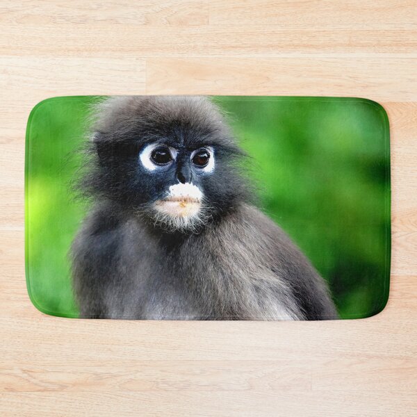 Item preview, Thailand - Prachuap Khiri Khan spectacled monkey designed and sold by franck380.