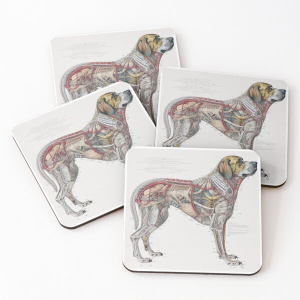 Item preview, Dog’s bone marrow and blood rhapsody designed and sold by fanzen69.