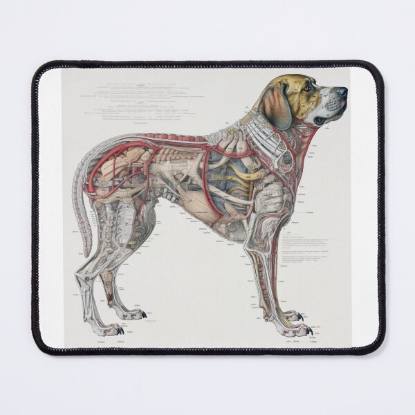 Item preview, Dog’s bone marrow and blood rhapsody designed and sold by fanzen69.
