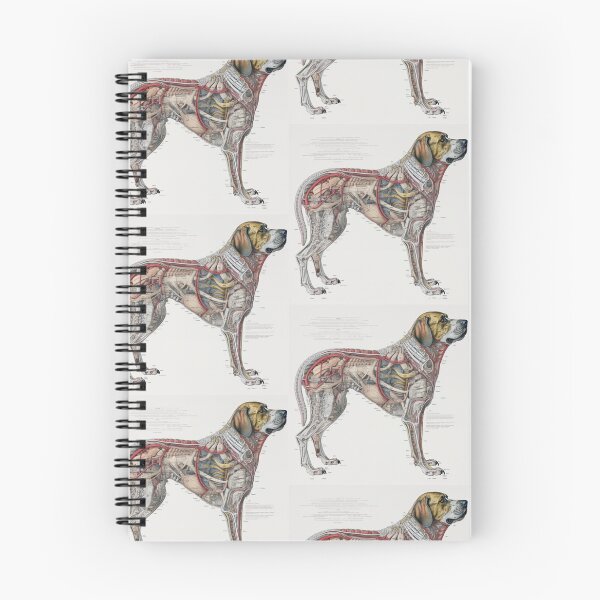 Item preview, Dog’s bone marrow and blood rhapsody designed and sold by fanzen69.