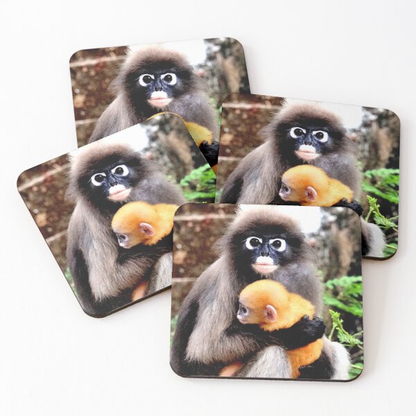 Item preview, Thailand - Prachuap Khiri Khan spectacled monkey designed and sold by franck380.