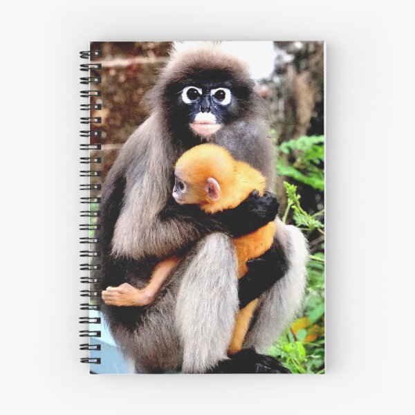 Item preview, Thailand - Prachuap Khiri Khan spectacled monkey designed and sold by franck380.