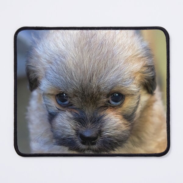 Item preview, Mean looking puppy designed and sold by likbatonboot.