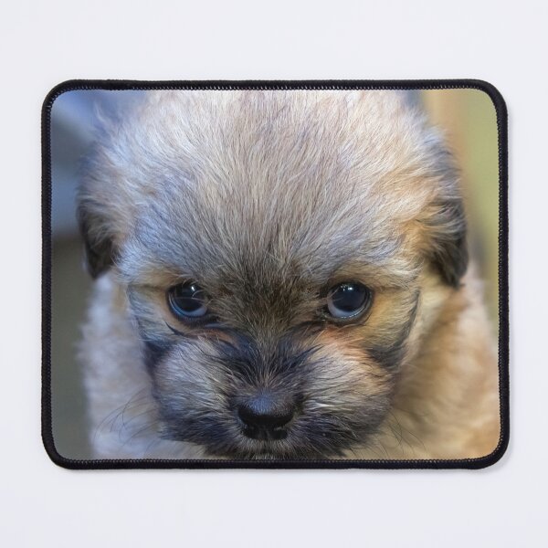 Item preview, Mean looking puppy designed and sold by likbatonboot.