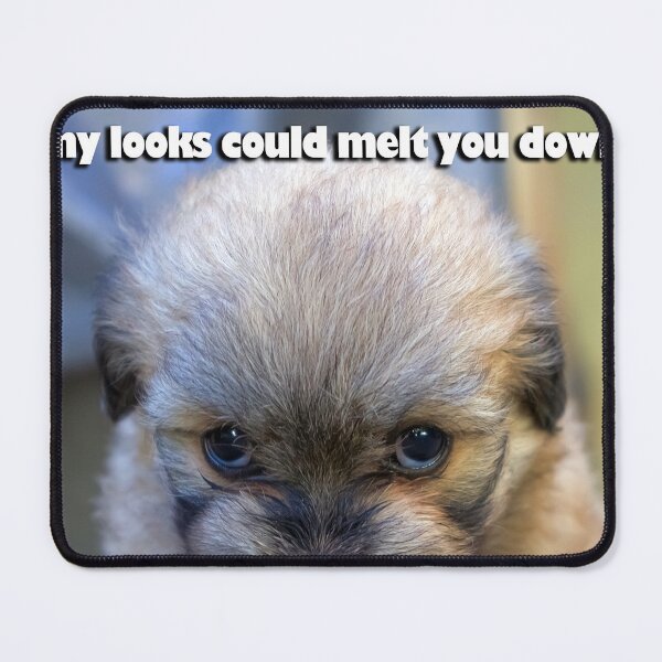 Item preview, Mean looking puppy designed and sold by likbatonboot.