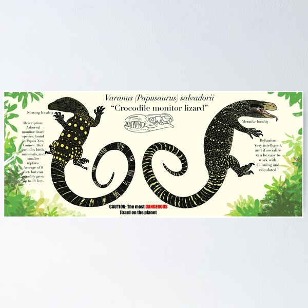 Item preview, Crocodile Monitor Infographic Diagram designed and sold by AZNaturalism.