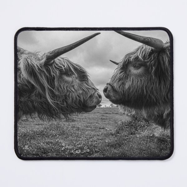 Item preview, Highland cows designed and sold by EyeOTBeholder.