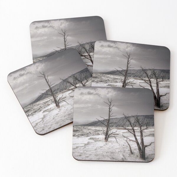 Item preview, Dead Trees at Mammoth Pools, Yellowstone National Park designed and sold by Cryogenics.