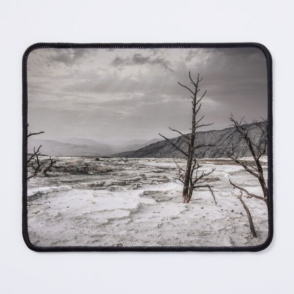 Item preview, Árboles muertos en Mammoth Pools, Parque Nacional de Yellowstone designed and sold by Cryogenics.