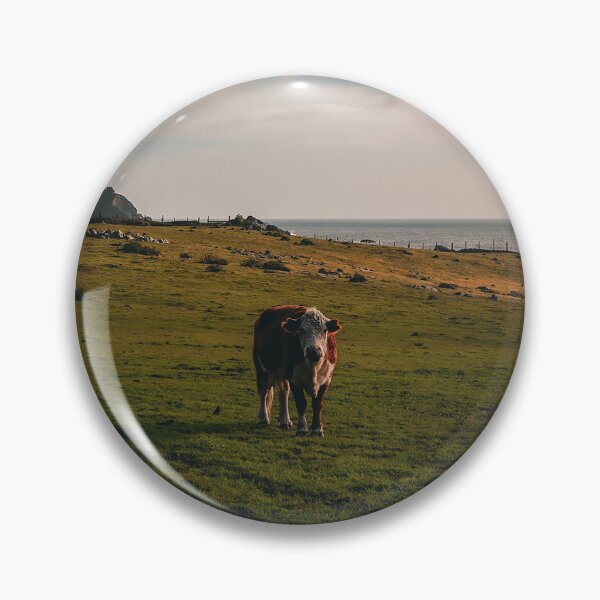 Item preview, Sweet cow with ocean backdrop near Big Sur designed and sold by Gothicrelics.