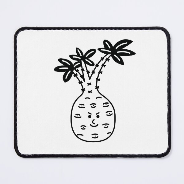 Item preview, Pachypodium ambongense designed and sold by My-green-homies.