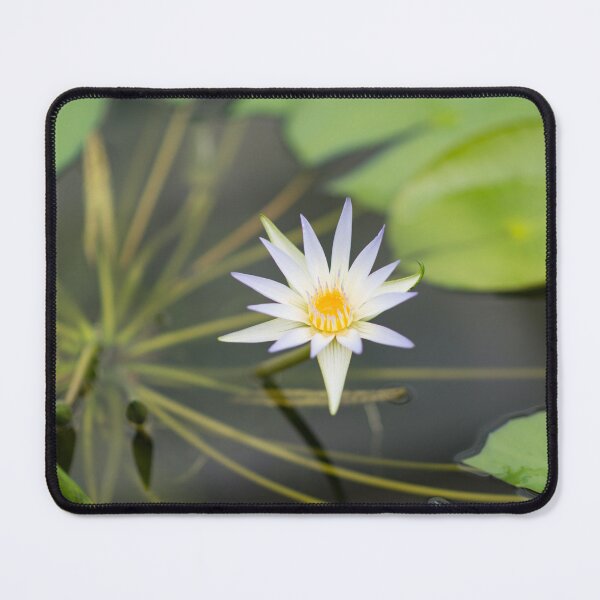 Item preview, Nile Waterlily designed and sold by Mark Prior.
