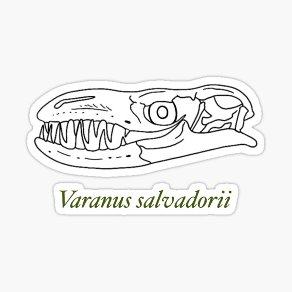 Item preview, Crocodile Monitor Skull Icon designed and sold by AZNaturalism.