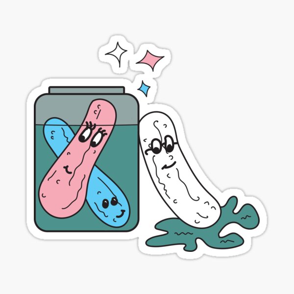 Trans Pickles Vibing Sticker
