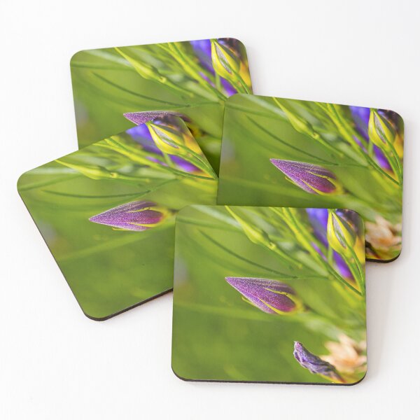 Item preview, Australian Hibiscus Flower Bud designed and sold by Joy Watson - Natural Light Photography .