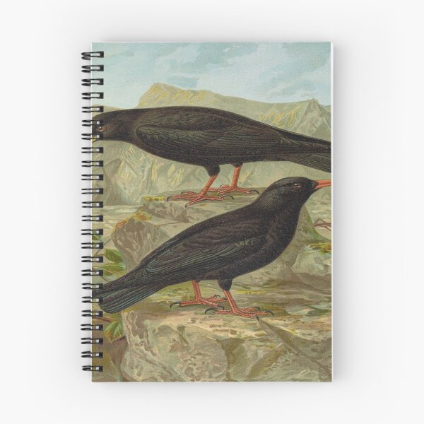 Item preview, Mountain Ravens in Art by JF Naumann designed and sold by Lacasadellora.