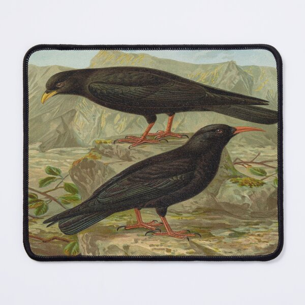 Item preview, Mountain Ravens in Art by JF Naumann designed and sold by Lacasadellora.