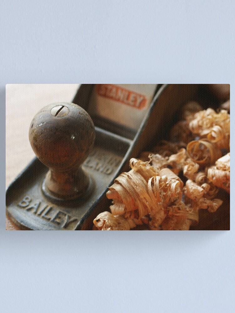 Alternate view of Old Friend Canvas Print