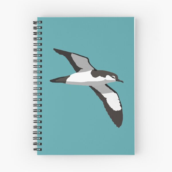 Item preview, Audubon's Shearwater designed and sold by BennuBirdy.