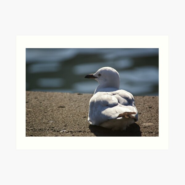 Mine? Art Print