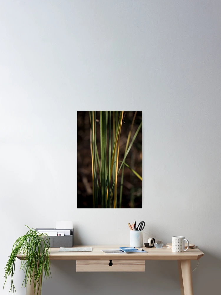 Thumbnail 2 of 3, Poster, Vertical designed and sold by RollemFloyd.