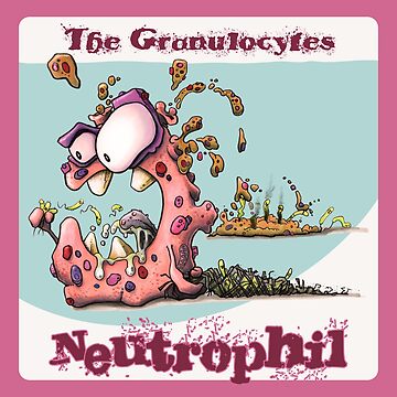 Artwork thumbnail, Neutrophil - nommmmmm, bacteria... by John Chilton