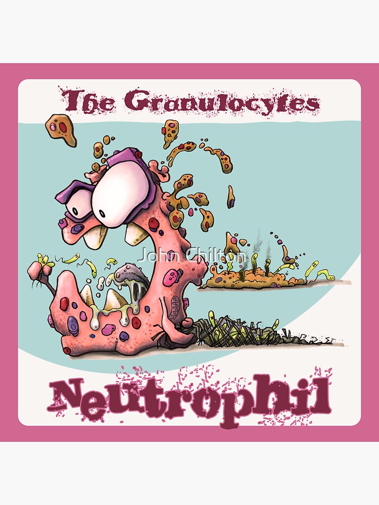 Thumbnail 3 of 3, Sticker, Neutrophil - nommmmmm, bacteria... designed and sold by DrawnToTheSea.