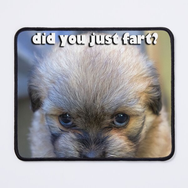 Item preview, Mean looking puppy designed and sold by likbatonboot.
