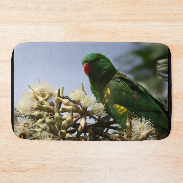 Item preview, Scaly-breasted lorikeet on eucalyptus flowers designed and sold by Guilded Reflections.