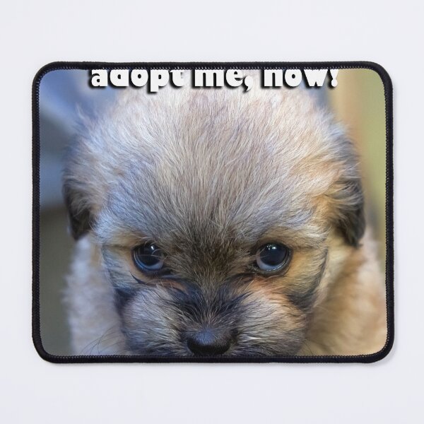 Item preview, Mean looking puppy designed and sold by likbatonboot.
