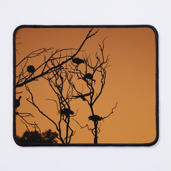 Item preview, Ibis Sunset Roost designed and sold by Guilded Reflections.