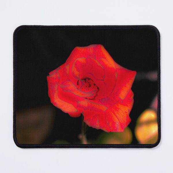 Item preview, Orange rose blossom designed and sold by kall3bu.