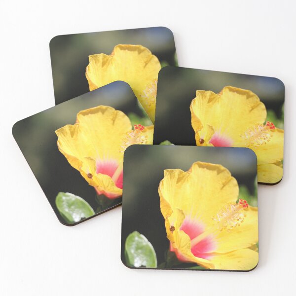 Item preview, Mariquita en hibisco designed and sold by Guilded Reflections.