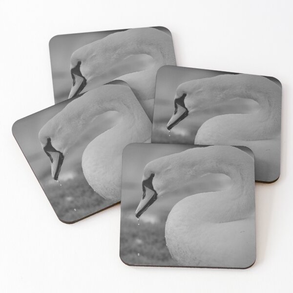 Item preview, Swan Photography IOW designed and sold by Bethany Edgington.