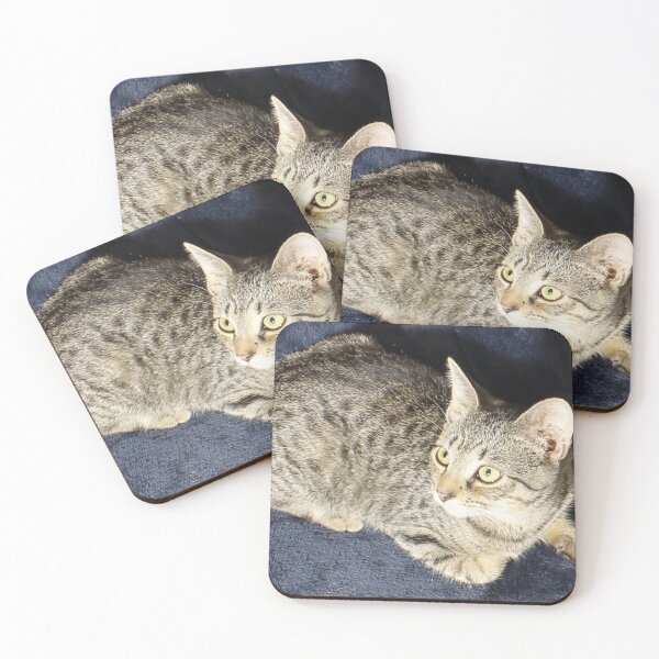 Item preview, Comfortable Winter Kitten designed and sold by coinsxcrochet.