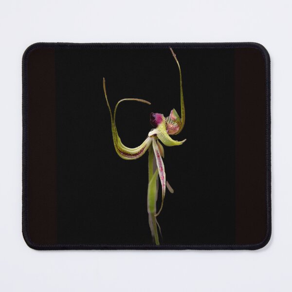 Item preview, Butterfly Orchid designed and sold by gwenthewren.