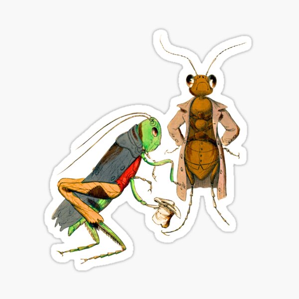 Artikel-Vorschau von Mensch, Tiere, Ameisen, Und, Cricket, Design, designt und verkauft von Funny Munny Art.