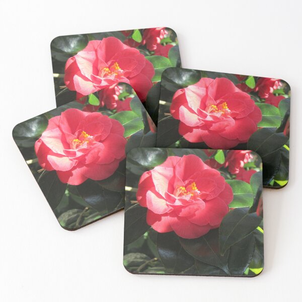 Item preview, Red camellia photograph designed and sold by Natimo-Studio.