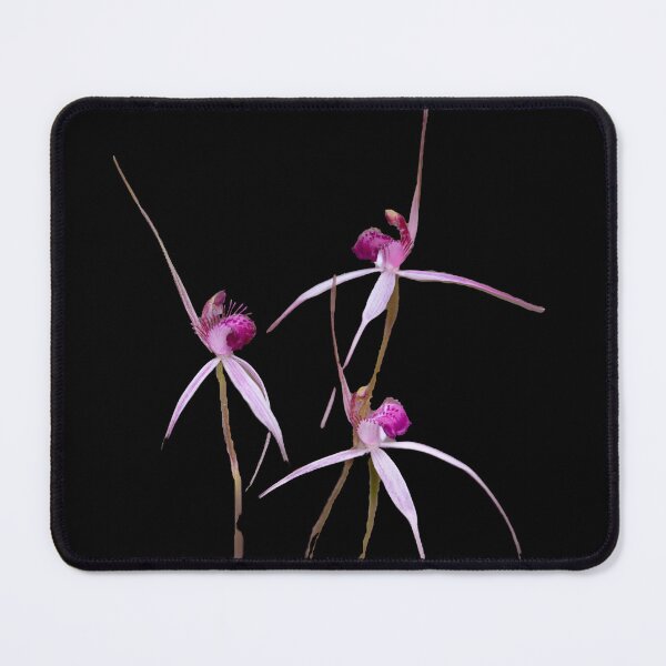 Item preview, Cherry Spider Orchids designed and sold by gwenthewren.