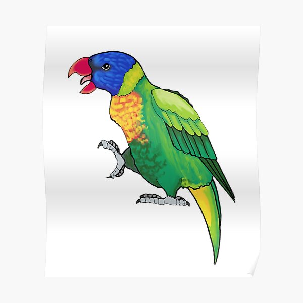Screaming Lorikeet Poster