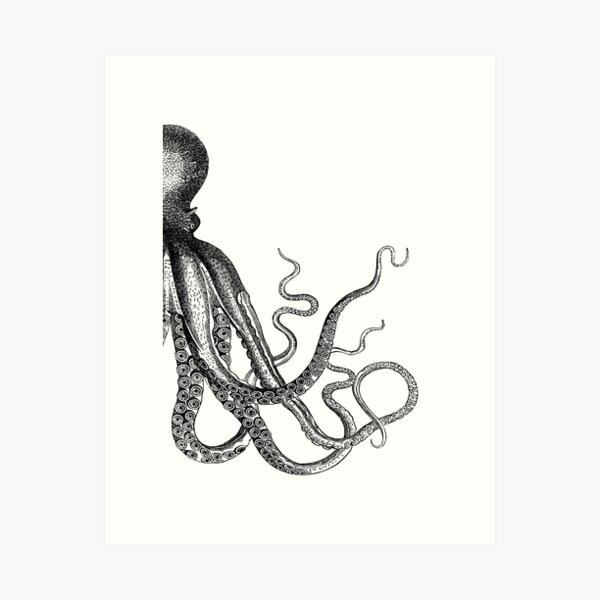 Half Octopus | Right Side | Vintage Octopus | Tentacles | Sea Creatures | Nautical | Ocean | Sea | Beach | Diptych | Black and White |   Art Print