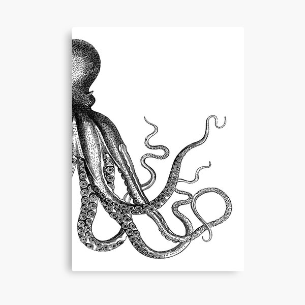 Half Octopus | Right Side | Vintage Octopus | Tentacles | Sea Creatures | Nautical | Ocean | Sea | Beach | Diptych | Black and White | Canvas Print